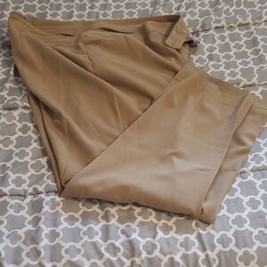 Lane Bryant Tan Chinos Versatile Cotton Blend